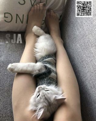 央视直播奥运会