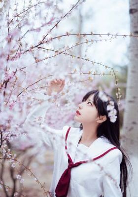 藏地密码